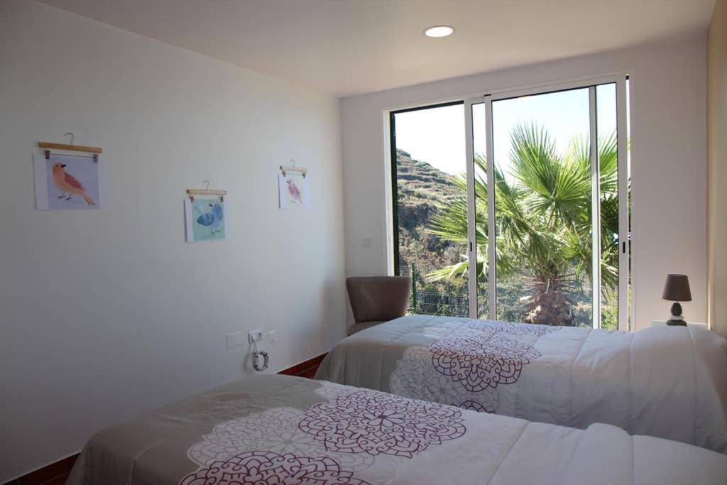 Apartamento MAR AZUL Calheta (Madeira) Exterior foto